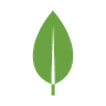 Logo of MongoDB